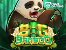 Bedava casino slot oyunları oyna29